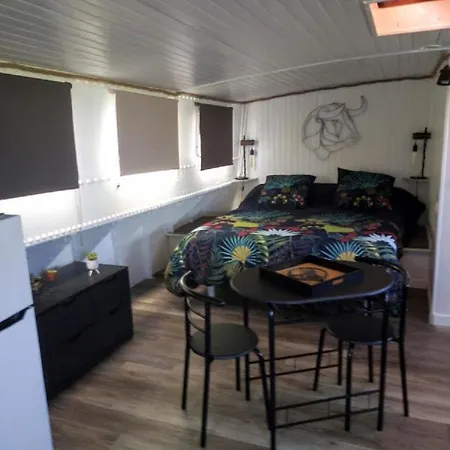 Sejour Atypique Et Insolite Sur Notre Peniche La Coradine Avec Grand Spa Aigues-Mortes Exterior photo