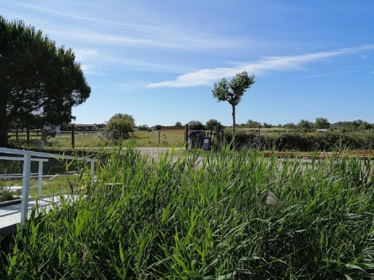 Botel Sejour Atypique Et Insolite Sur Notre Peniche La Coradine Avec Grand *