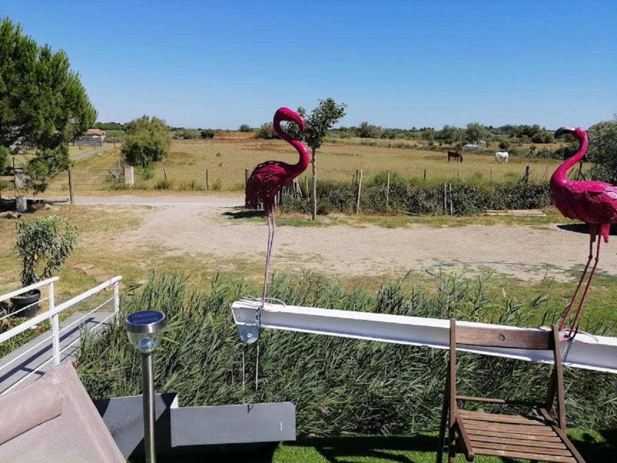 Sejour Atypique Et Insolite Sur Notre Peniche La Coradine Avec Grand Botel *