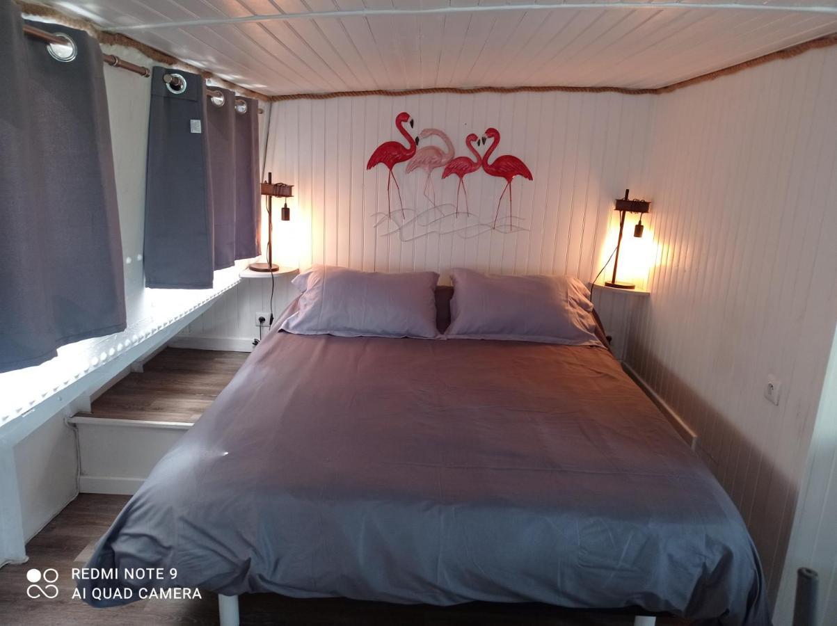 Sejour Atypique Et Insolite Sur Notre Peniche La Coradine Avec Grand Botel Aigues-Mortes